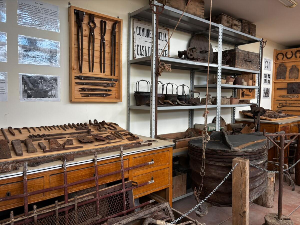 Delia: il Museo Archeologico e della Civiltà Contadina riunisce reperti, memoria rurale e nuove sezioni