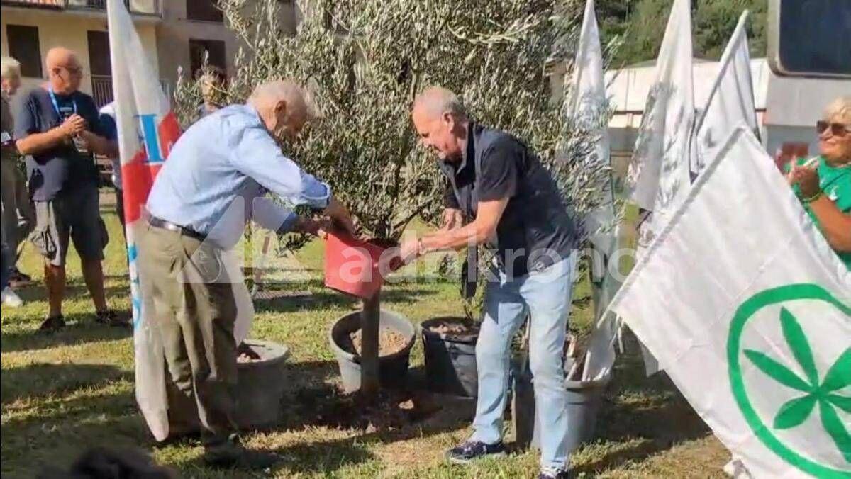 A Pontida il tributo a Bossi: Calderoli e Leoni piantano un ulivo e cantano 'Va pensiero' - Video - 