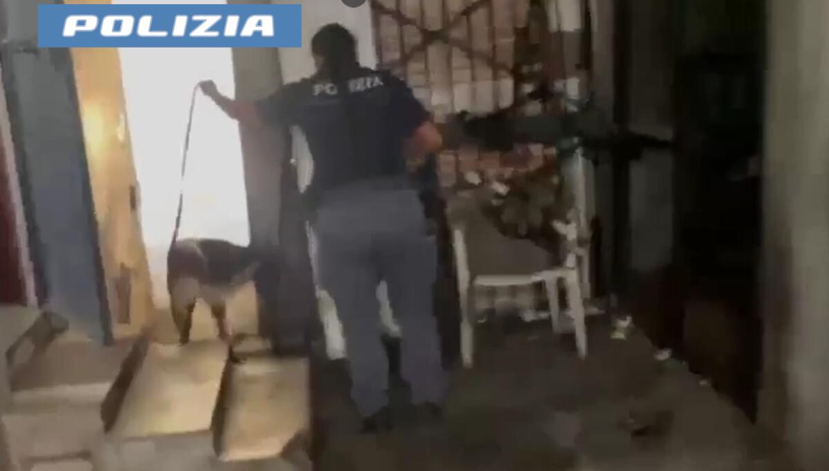 Catania, San Giovanni Galermo: sequestrati oltre 2 kg di droga nascosti in un sottoscala - 