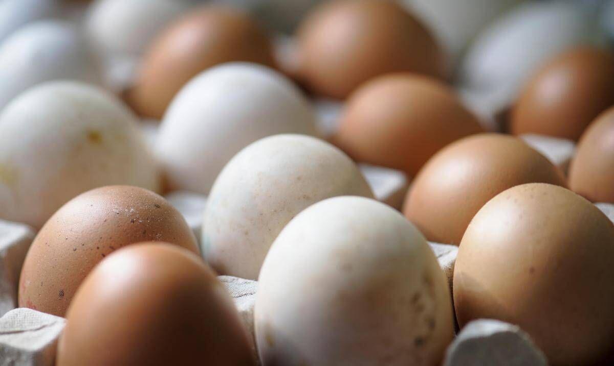 Rischio salmonella, ritirato lotto di uova Selex - 