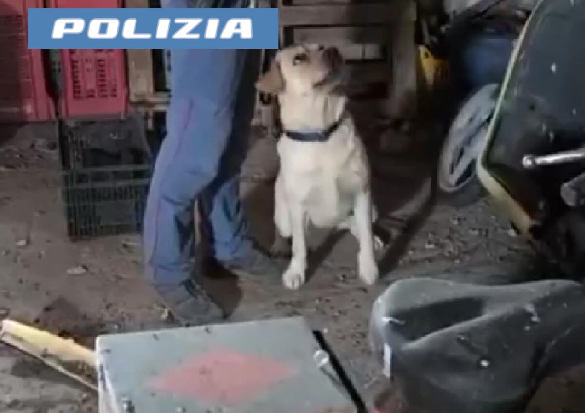 Biancavilla: arrestato 21enne a Paternò con 15 dosi di crack e infiorescenza di marijuana - 