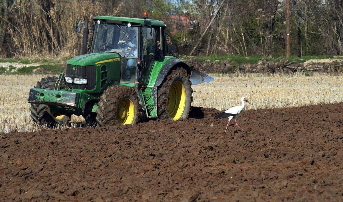 Caro carburanti ed energia, Filiera Italia lancia l'allarme: "Agricoltori schiacciati tra alti costi di produzione e prezzi bassi" - 