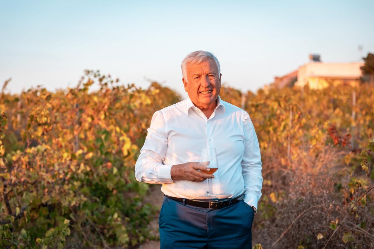 Pantelleria: Cantine Pellegrino riceve il Premio Speciale CERVIM 2026 per la viticoltura eroica