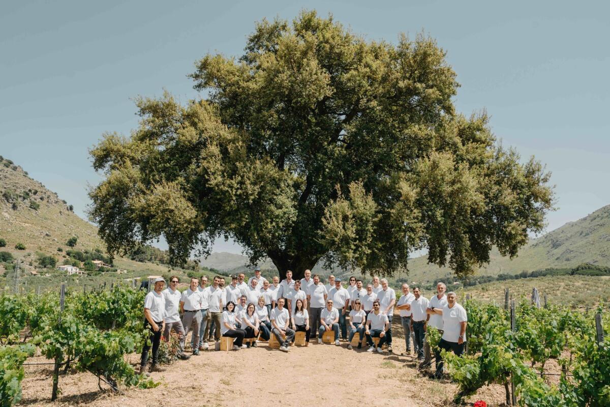 Baglio di Pianetto celebra le feste con Shùmè, Fushà ed Êra: vini che rinnovano un’identità arbëreshë - 