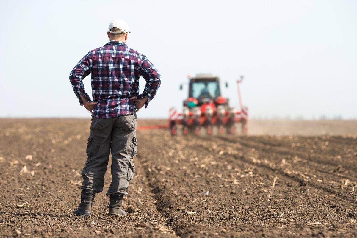 Gli offrono 700mila euro, ma un agricoltore rifiuta e non vende il suo terreno - 