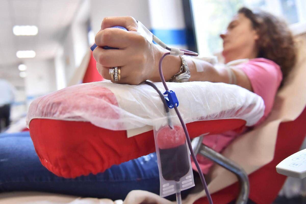 Emergenza sangue in Italia, appelli per la donazione. Cns: "Senza non si opera" - 