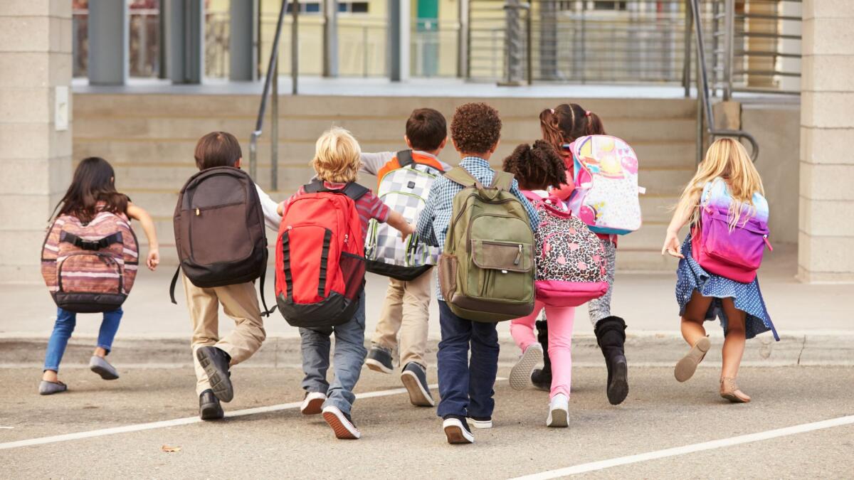 Ok del governo al decreto scuola: multe per il volto coperto e tetto del 30% per alunni stranieri - 