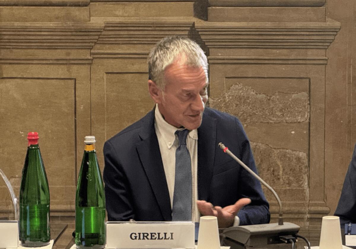 Girelli (Pd): "La sanità italiana deve puntare su prevenzione e gestione del rischio" - 