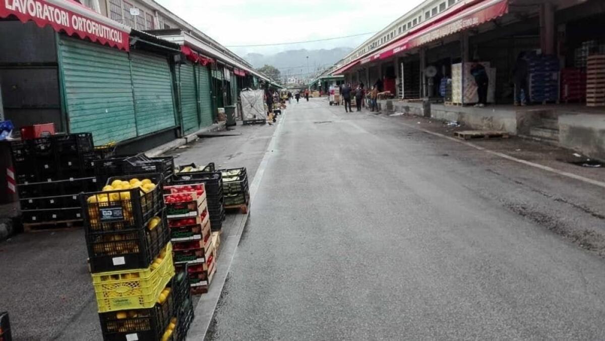 Palermo, aggiudicati i lavori per la rete fognaria del Mercato Ortofrutticolo: appalto da 1,65 mln - 