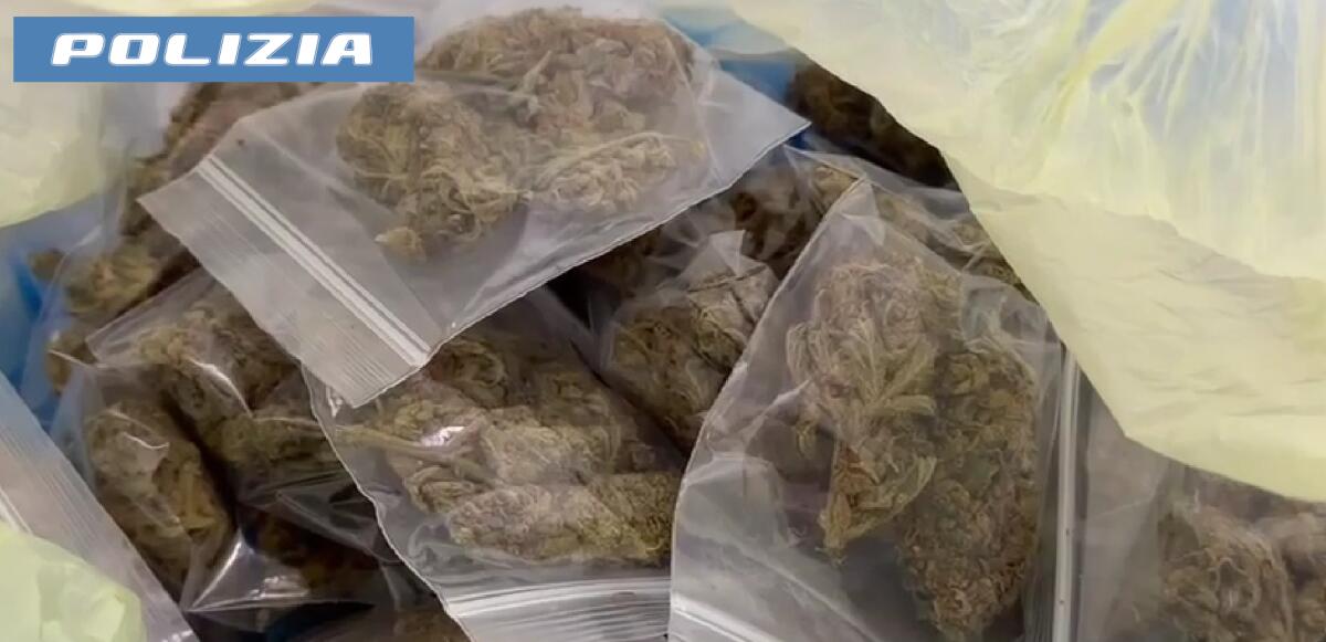 Catania: arrestato 28enne, sequestrati 1,57 kg di marijuana tra auto e abitazione - 