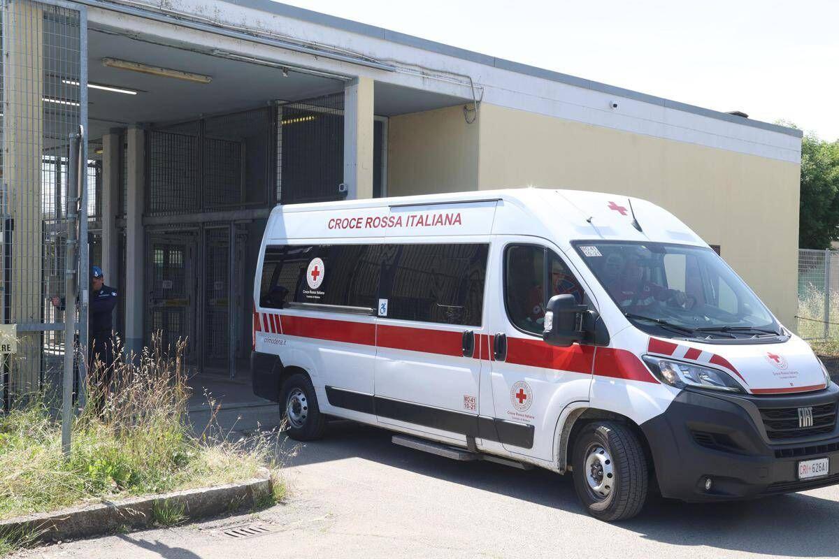 Paura sulla Via degli Dei, escursionista punta da un imenottero: shock anafilattico e soccorso d'urgenza - 