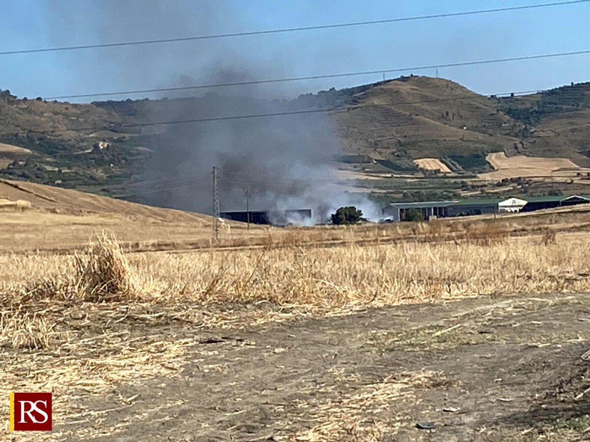 Sicilia: aperta la piattaforma per segnalare i danni alle imprese agricole causati dagli incendi - 