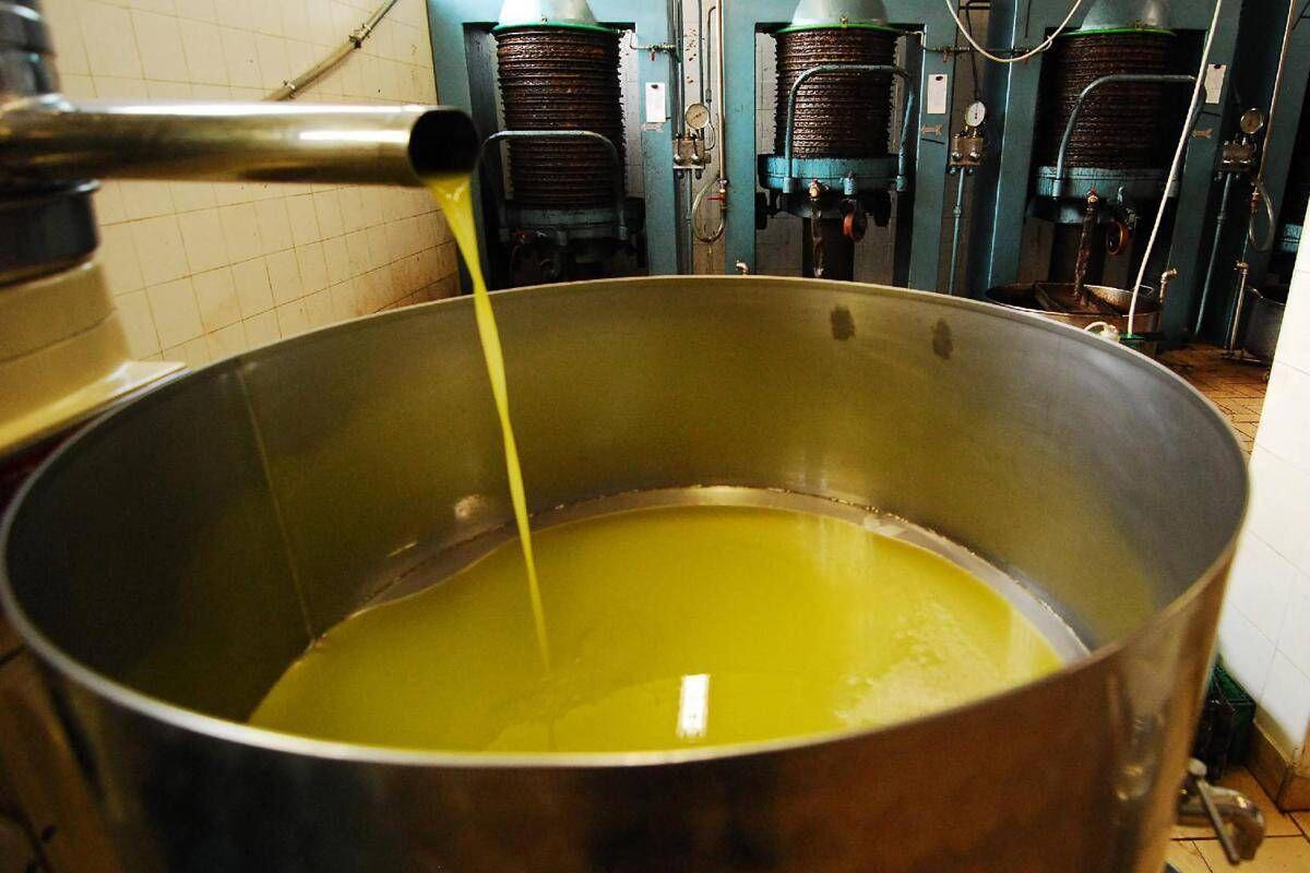 Unifol: "Per movimenti dell'olio sfuso﻿ sì alla bolla elettronica " - 