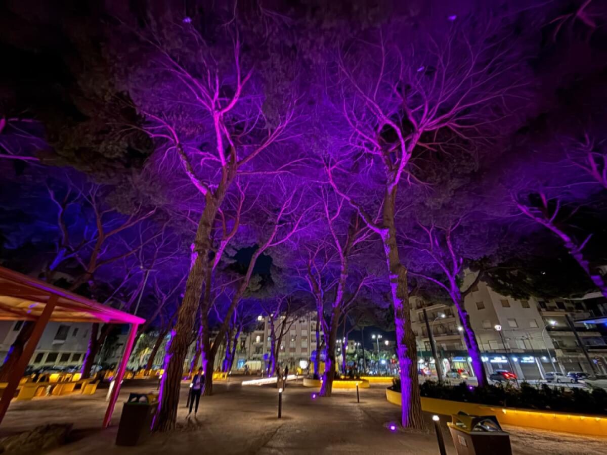 A Messina inaugurata Piazza Quasimodo: riaperto uno spazio verde tra memoria e poesia - 