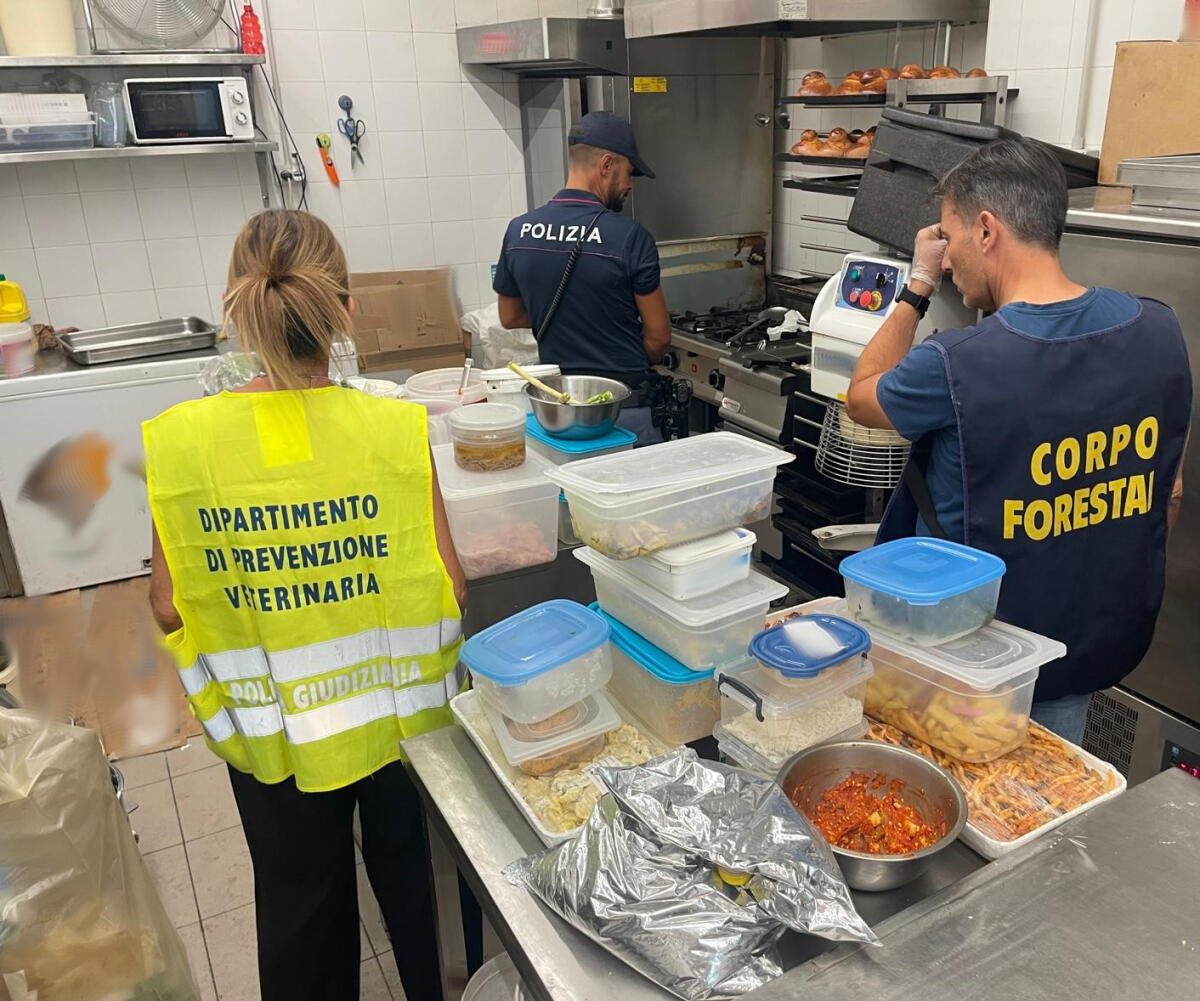 Sequestrati e distrutti 210 kg di alimenti in un bar di piazza Michelangelo: titolare denunciato