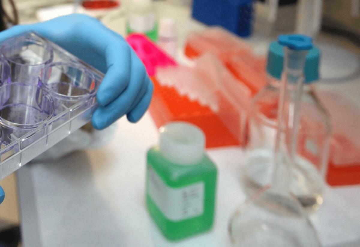Tumori, al via studio per ridurre rischio recidive da cancro al seno - 
