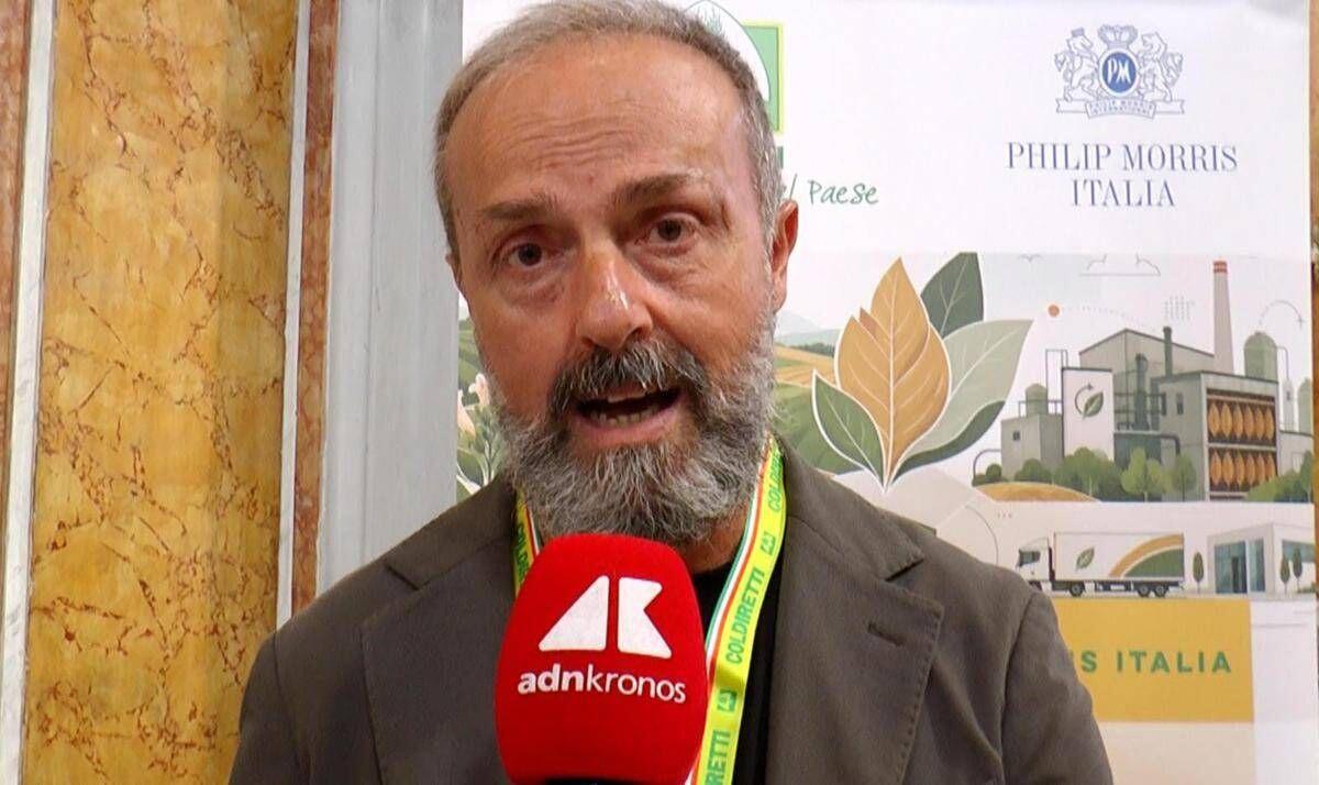 Tabacco, Masiello (Coldiretti): "Regole non devono ammazzare la filiera" - 