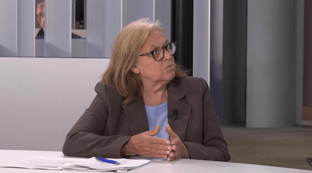 Ue, Annunziata: 'Dietro attacchi ibridi c'è Putin. Non riarmo ma difesa adeguata' - 