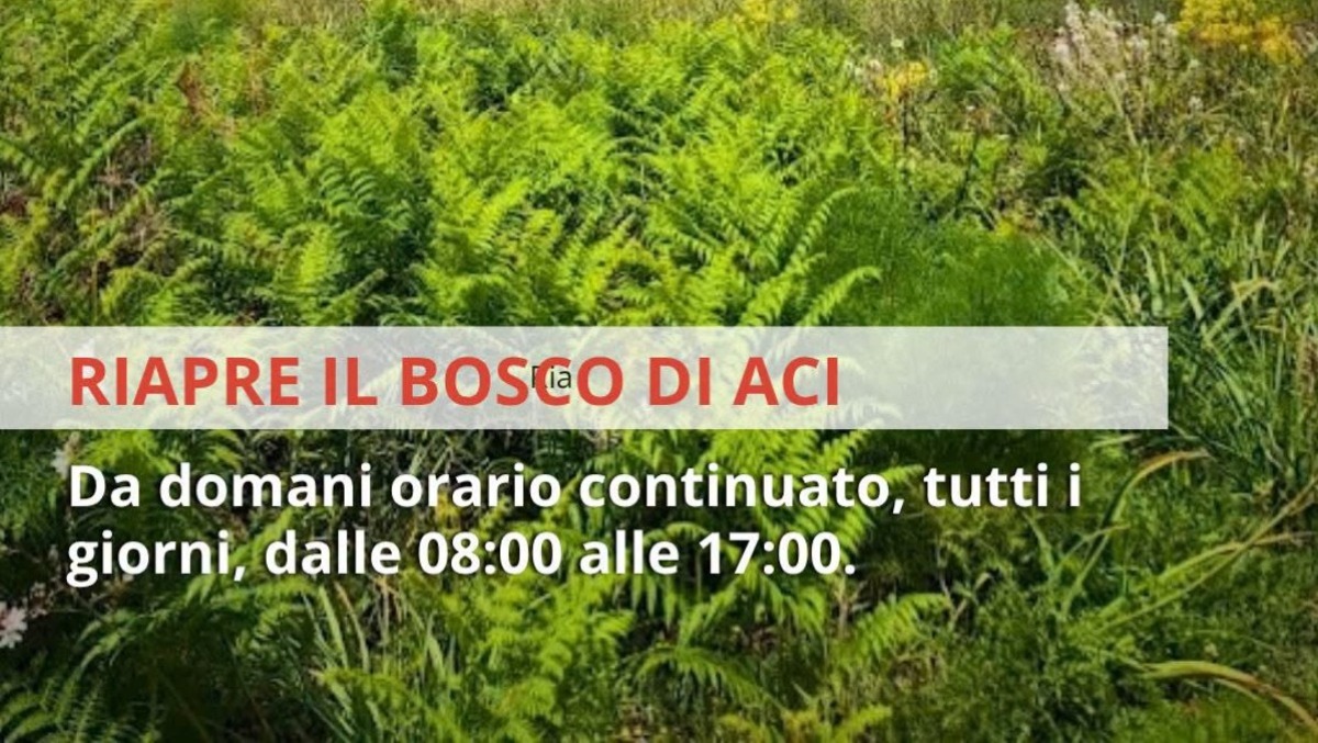 Bosco di Aci aperto tutti i giorni: da sabato 3 ottobre ingressi e regole in vigore - 