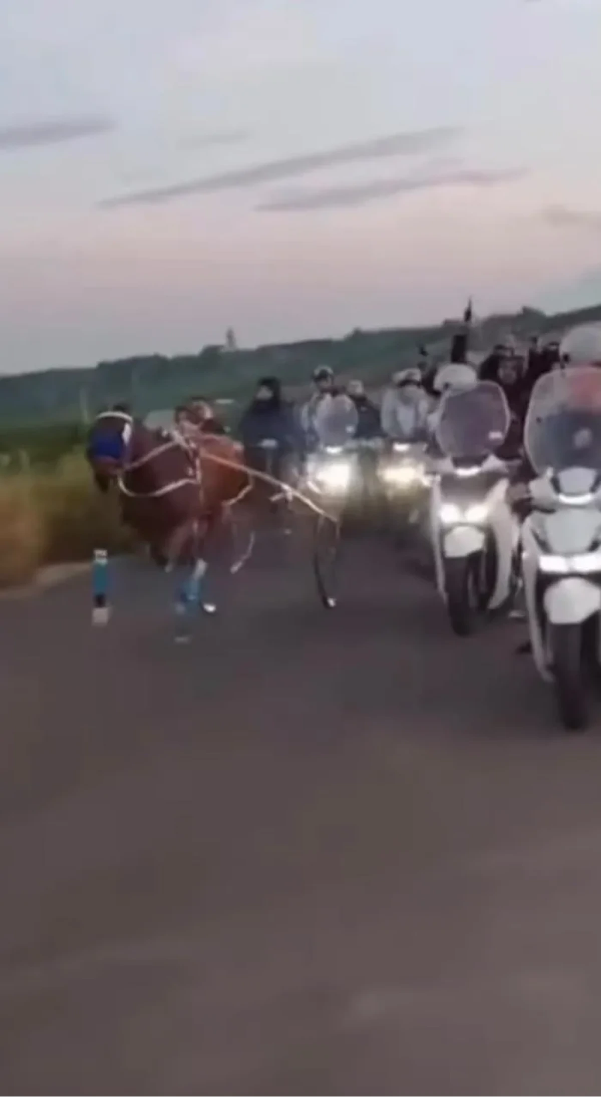 Palagonia, corsa clandestina di cavalli con tre pistoleri: la polizia indaga sui video virali - 