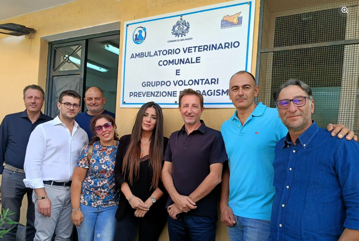 Il Comune riapre l'ambulatorio veterinario: pronto entro fine mese per la sterilizzazione dei cani randagi - 
