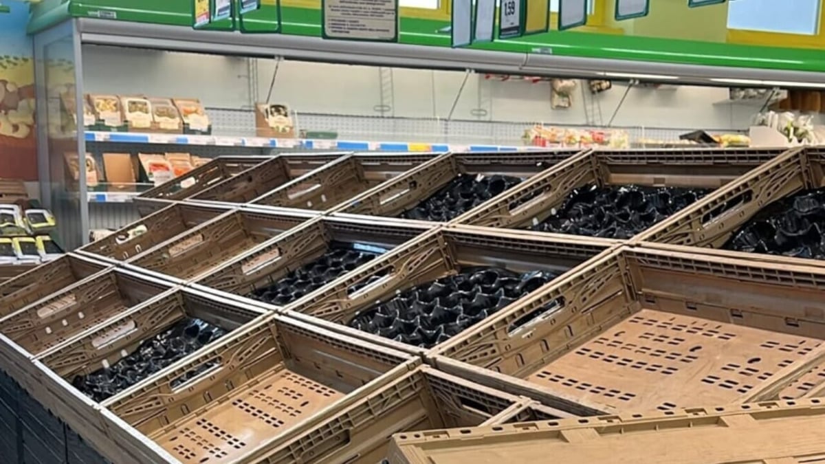 Sicilia: supermercati ripartono dopo il blocco dei tir, agricoltori in piazza per il caro gasolio - 