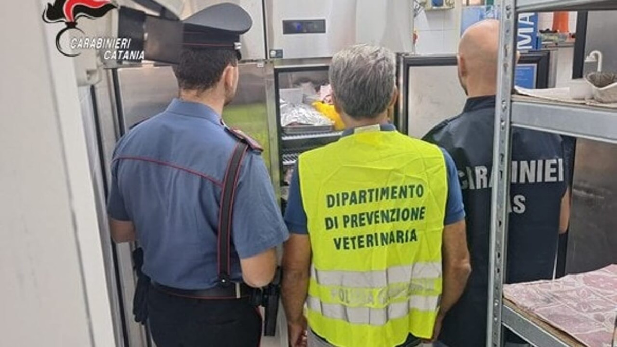 Ottobrata a Zafferana: gastronomia multata per carenze igieniche, controlli interforze svelano anche posizioni lavorative sospette - 