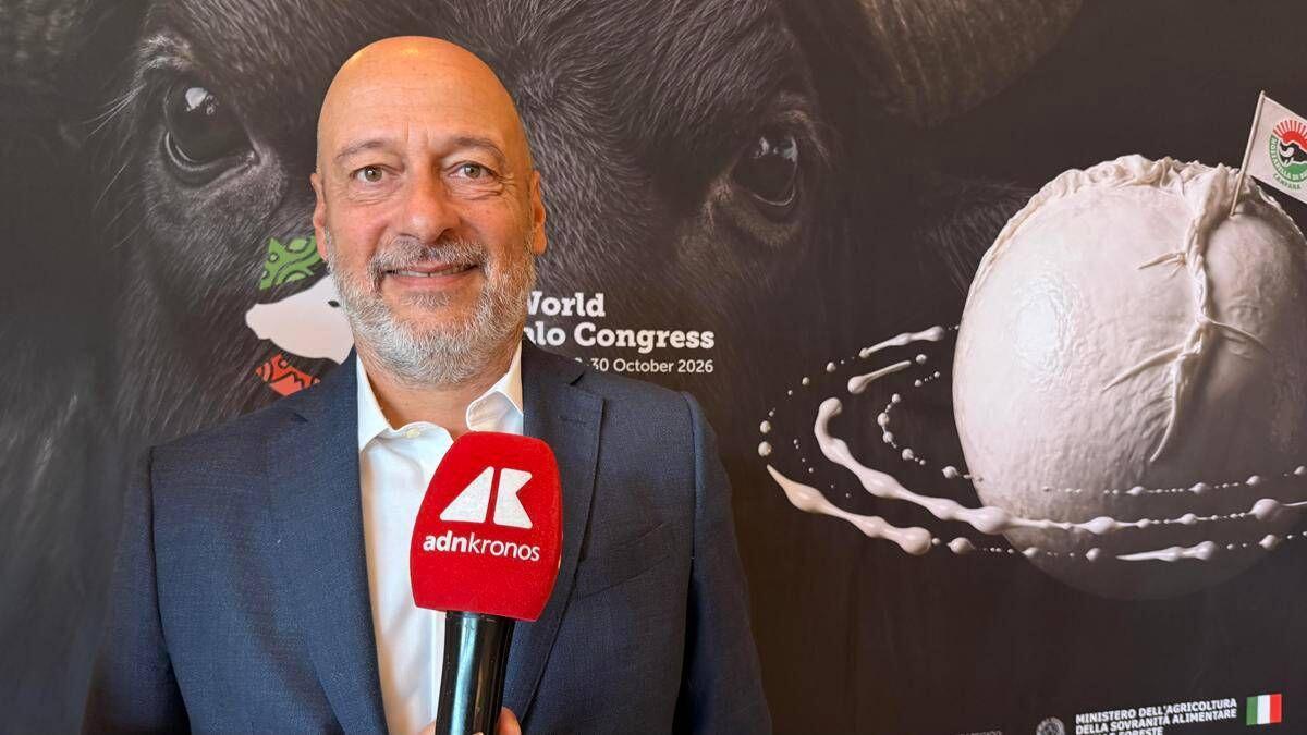 Saccani (Consorzio Mozzarella Bufala Campana Dop): "Per esportare di più serve innovazione" - 