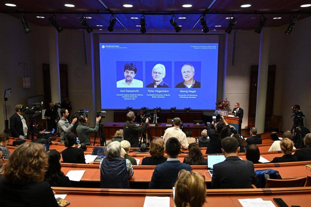 Nobel per la Medicina, scienziata amica dei vincitori: "La forza della curiosità li ha spinti controcorrente" - 