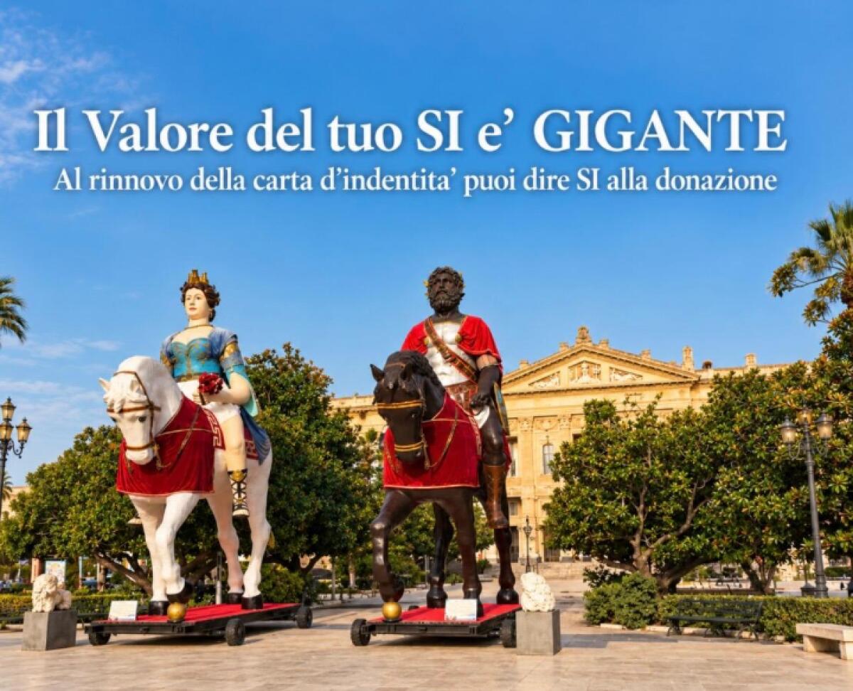 Messina lancia DARte: arte e scienza per promuovere la donazione di organi e sangue - 
