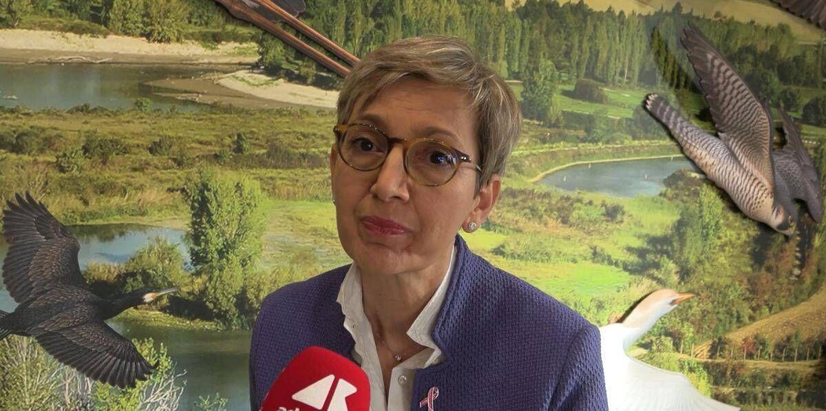 Galvanin (Acqua Panna): "Oasi Gabbianello più accessibile e con più spazio a biodiversità" - 