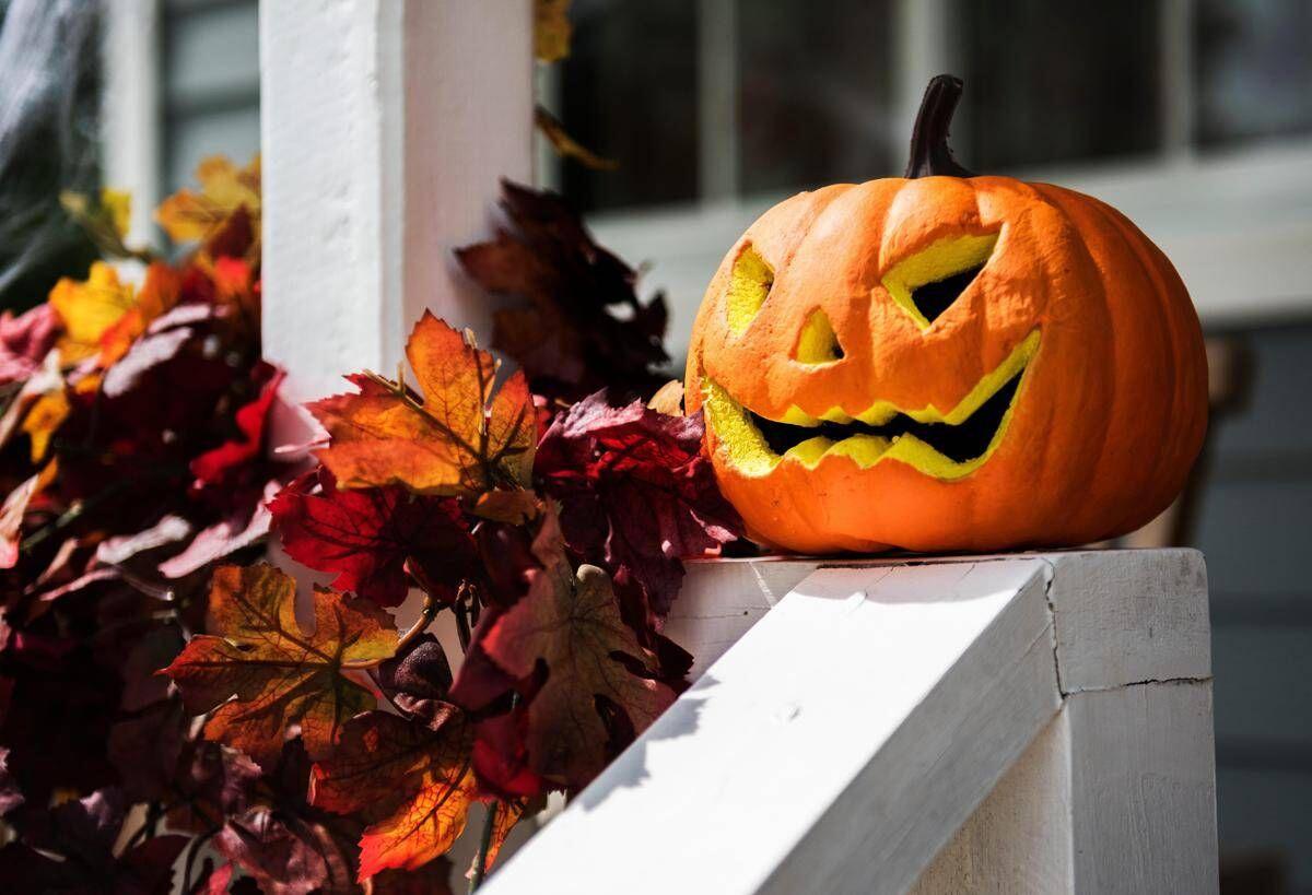 Halloween, picco di lesioni da intaglio zucche: come evitare la 'maledizione della Jack-o'-Lantern' - 