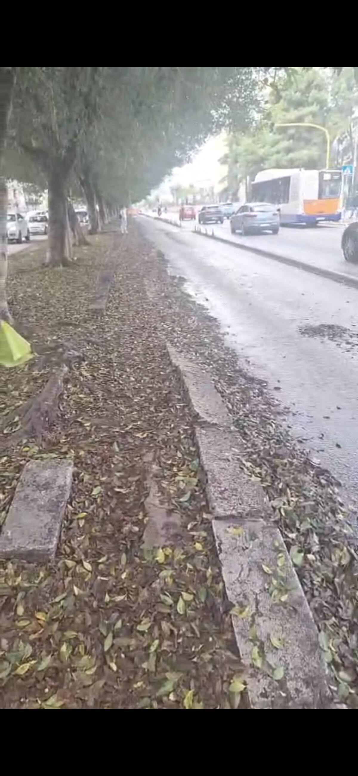 Palermo, pulizia straordinaria dello spartitraffico in via Ernesto Basile dopo oltre un anno di accumuli - 