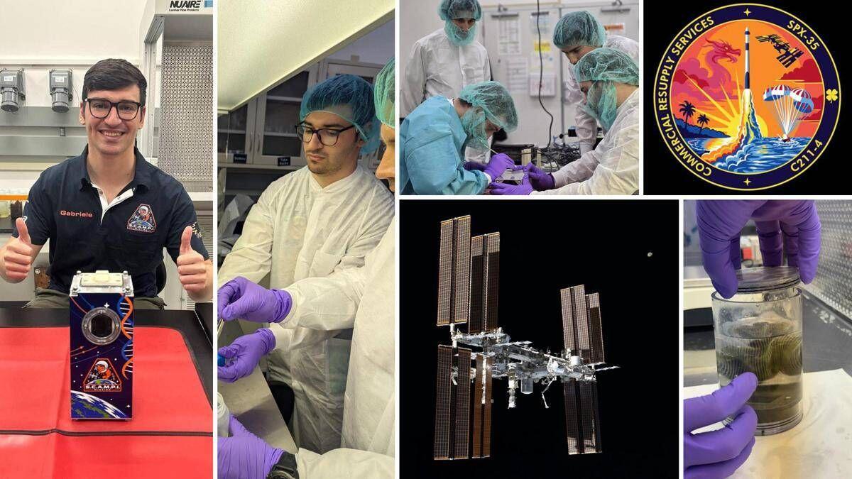 Roma Tor Vergata in orbita nella Iss con esperimento Scampi - 