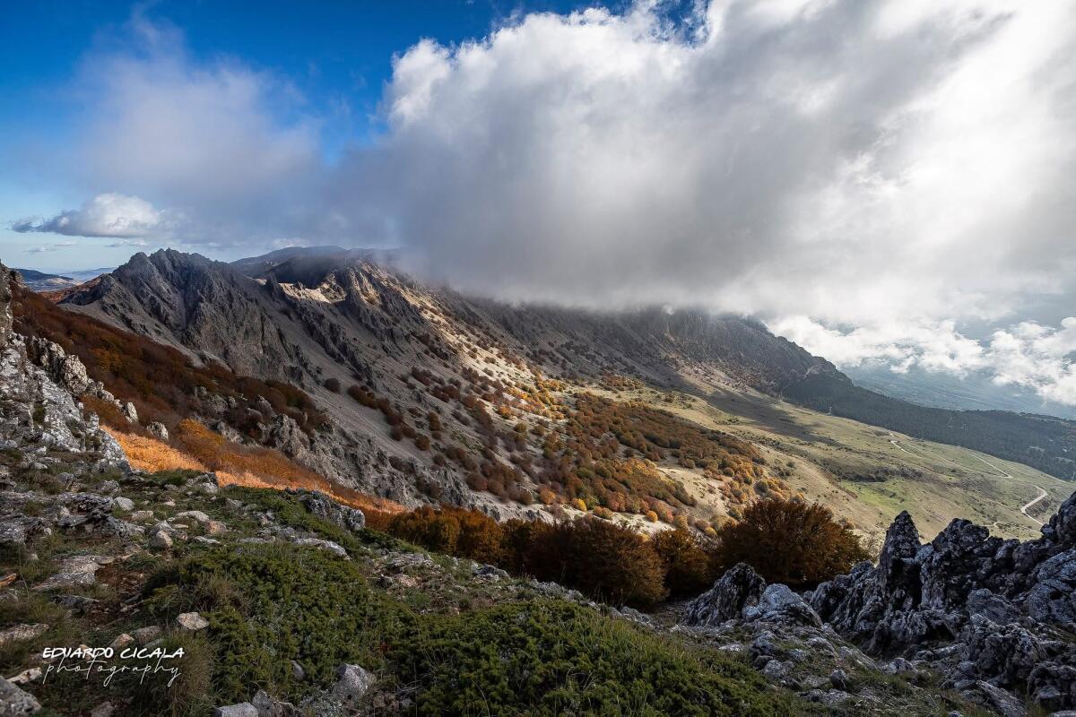 Madonie, 200 mila euro dall’ARS per sentieri e gestione della fauna - 