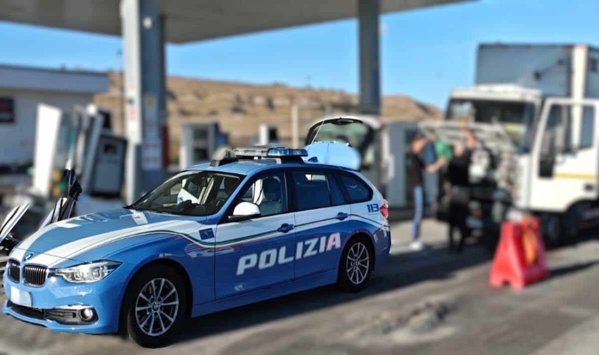 Caltanissetta: autocarro con quattro cavalli fermato sulla SS 640, veicolo sequestrato e sanzioni per circa 10.000€ - 