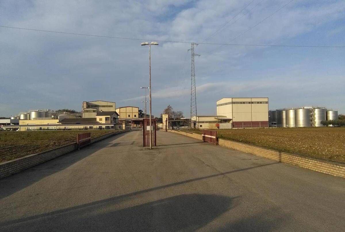 Scerni, dramma nella cantina sociale: giovane operaio muore a 23 anni mentre pulisce le vasche - 