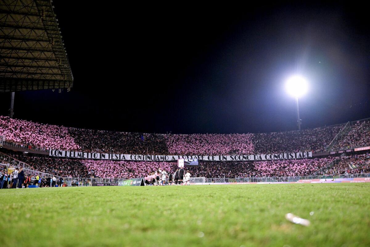 Palermo-LR Vicenza: biglietti in vendita per la partita del 1° novembre al Renzo Barbera - 