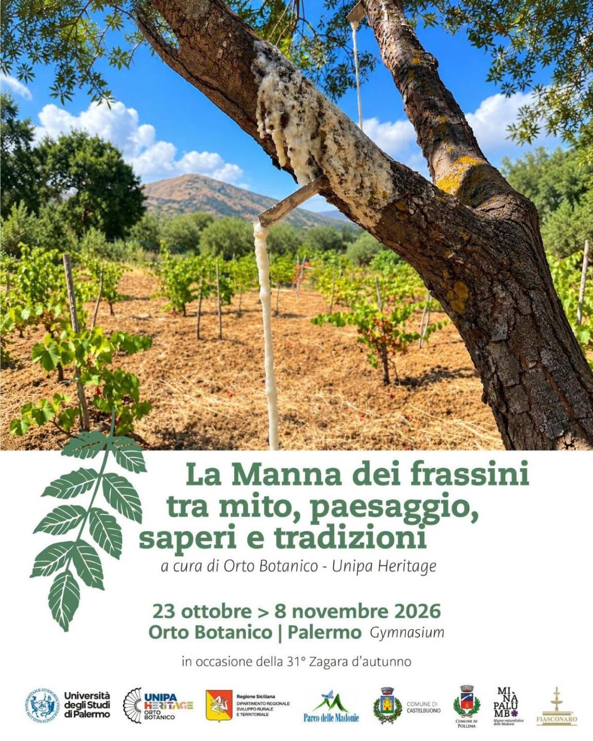 La manna delle Madonie alla Zagara d’Autunno: il Parco rilancia una tradizione - 