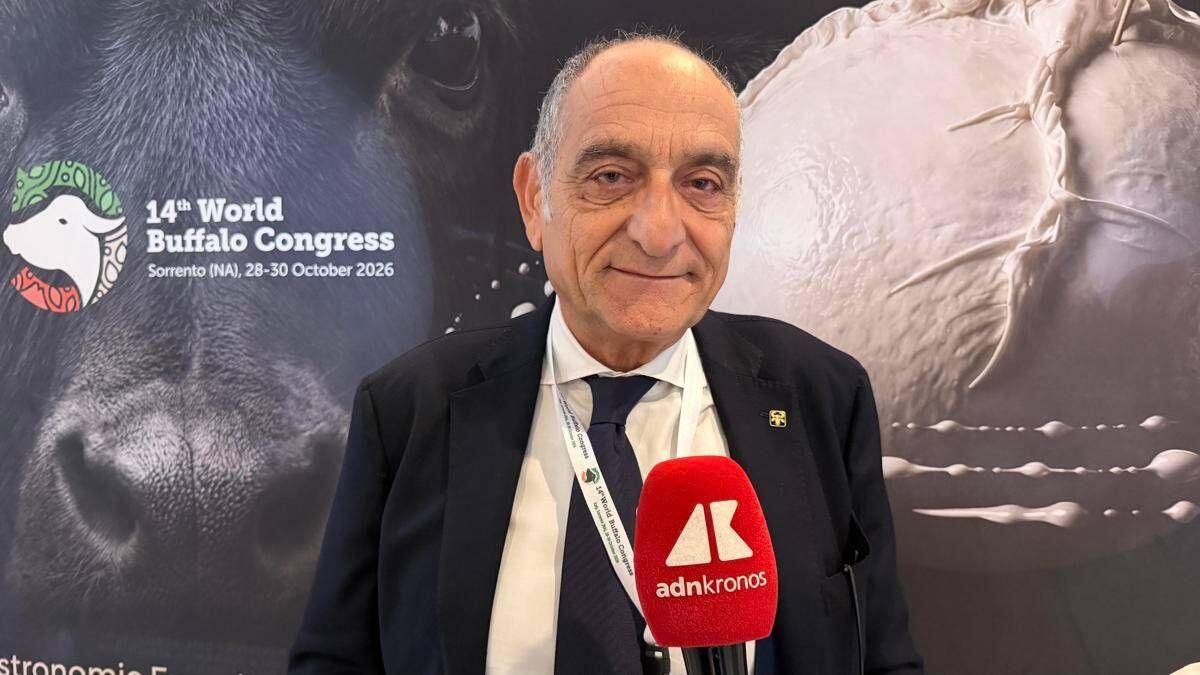 Campanile (Buffalo Federation), "Robotica e genomica cambieranno l'allevamento" - 