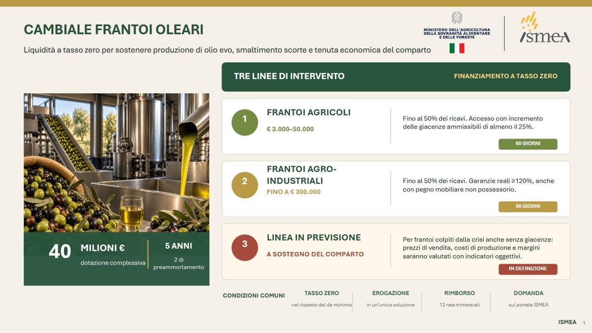 Agricoltura, Ismea: 40 mln per frantoi con 'Cambiale Frantoi Oleari' - 