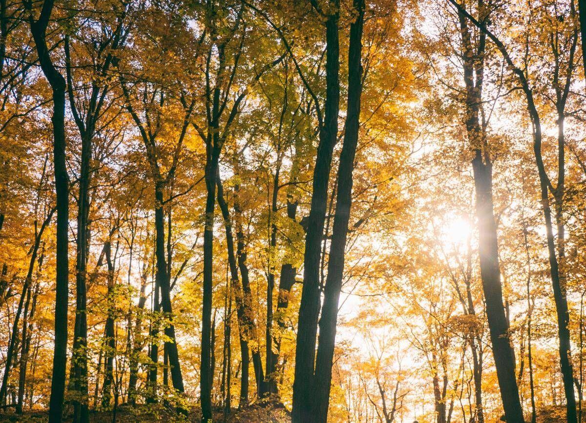 Ancora sole al Centro-Nord, maltempo in arrivo al Sud nel fine settimana: temperature in discesa - 