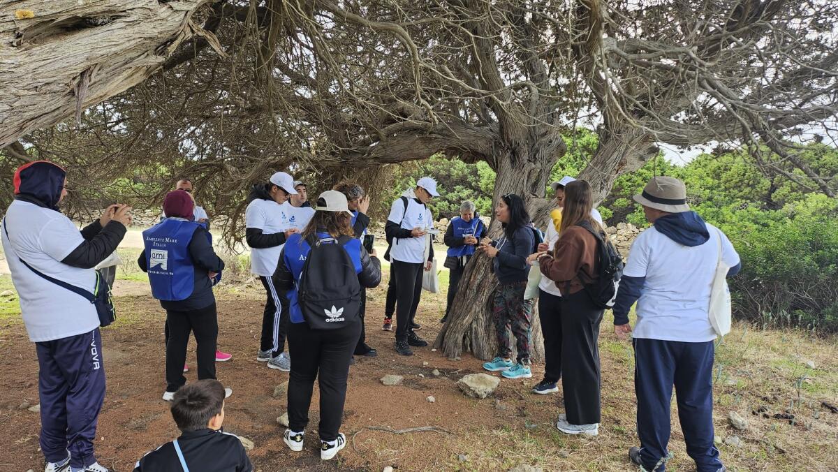Asinara, nuova tappa di 'Un Mare di Inclusione': giovani con disabilità in una giornata di natura - 