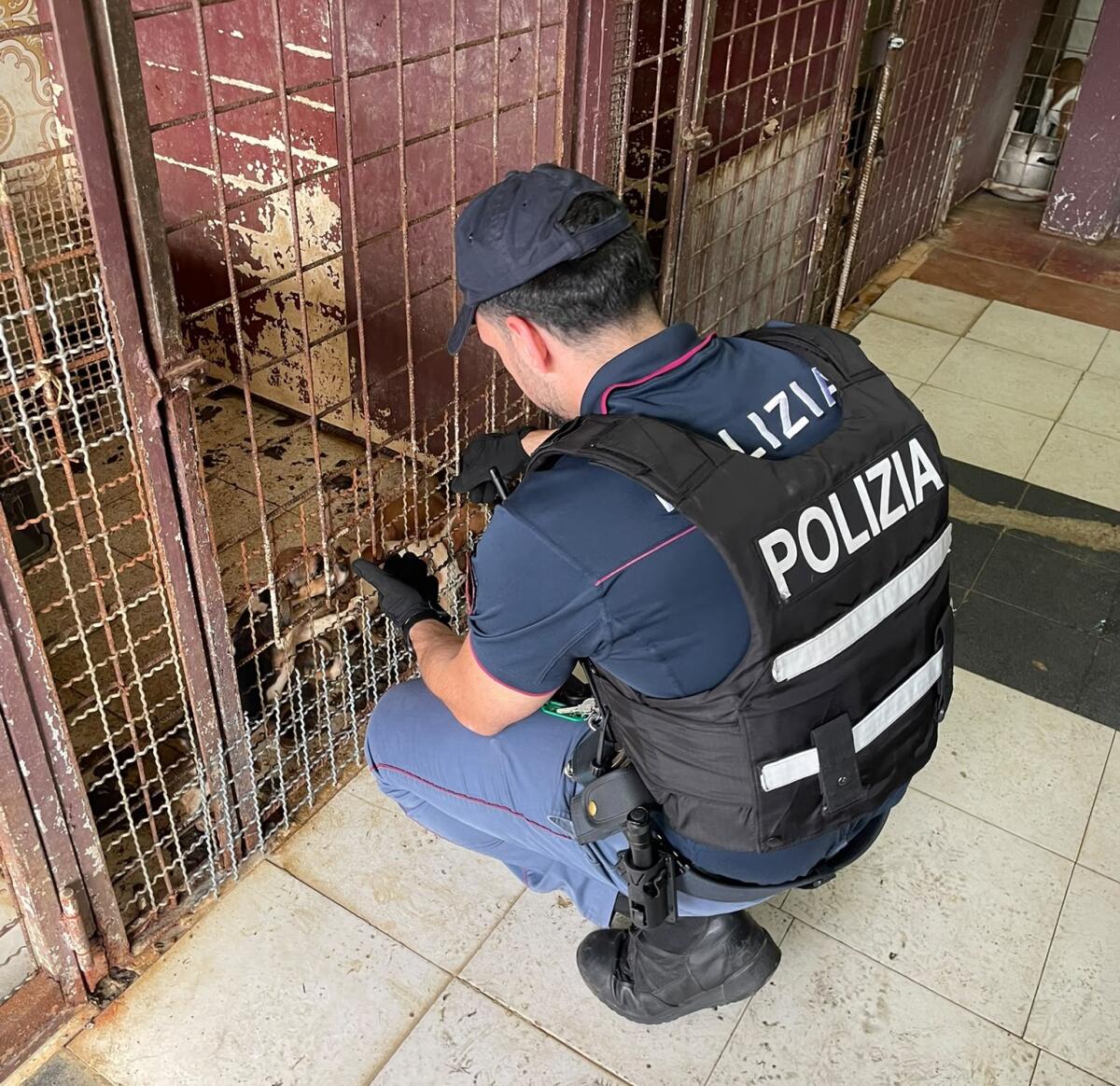 Catania: salvati 20 cuccioli e 12 furetti ammassati in un garage, denunciato il proprietario - 