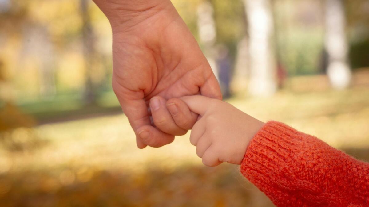 Contributo affitto per genitori separati: da oggi online la piattaforma per le domande - 