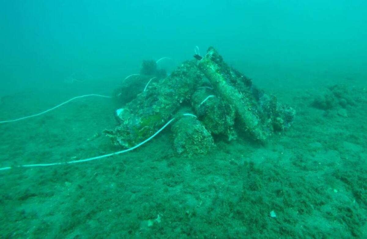 Bonifica ordigni nello Stretto di Messina: brillamenti programmati dal 19 al 30 ottobre 2026 - 