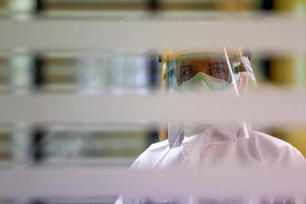 Covid, torna a crescere il virus in Europa? L'esperto: "Attenzione alla nuova PJ.2.1, è l'osservata speciale" - 