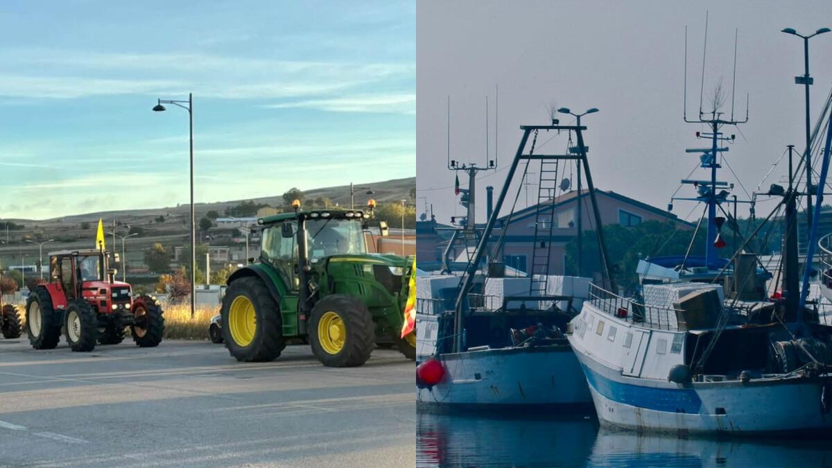 Governo: 70 milioni per Agricoltura e Pesca contro il caro carburante - 