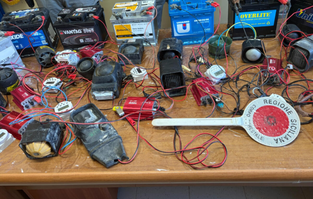 Bracconaggio nel Siracusano: sequestrati nove richiami elettronici nell'operazione Coturnix4 - 
