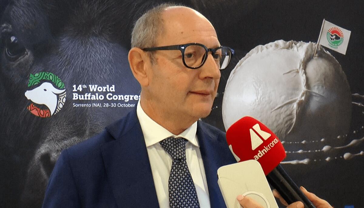 Raimondo (Tutela mozzarella bufala campana Dop): "Filiera 1,2-1,3 mld, quasi una Fiat" - 